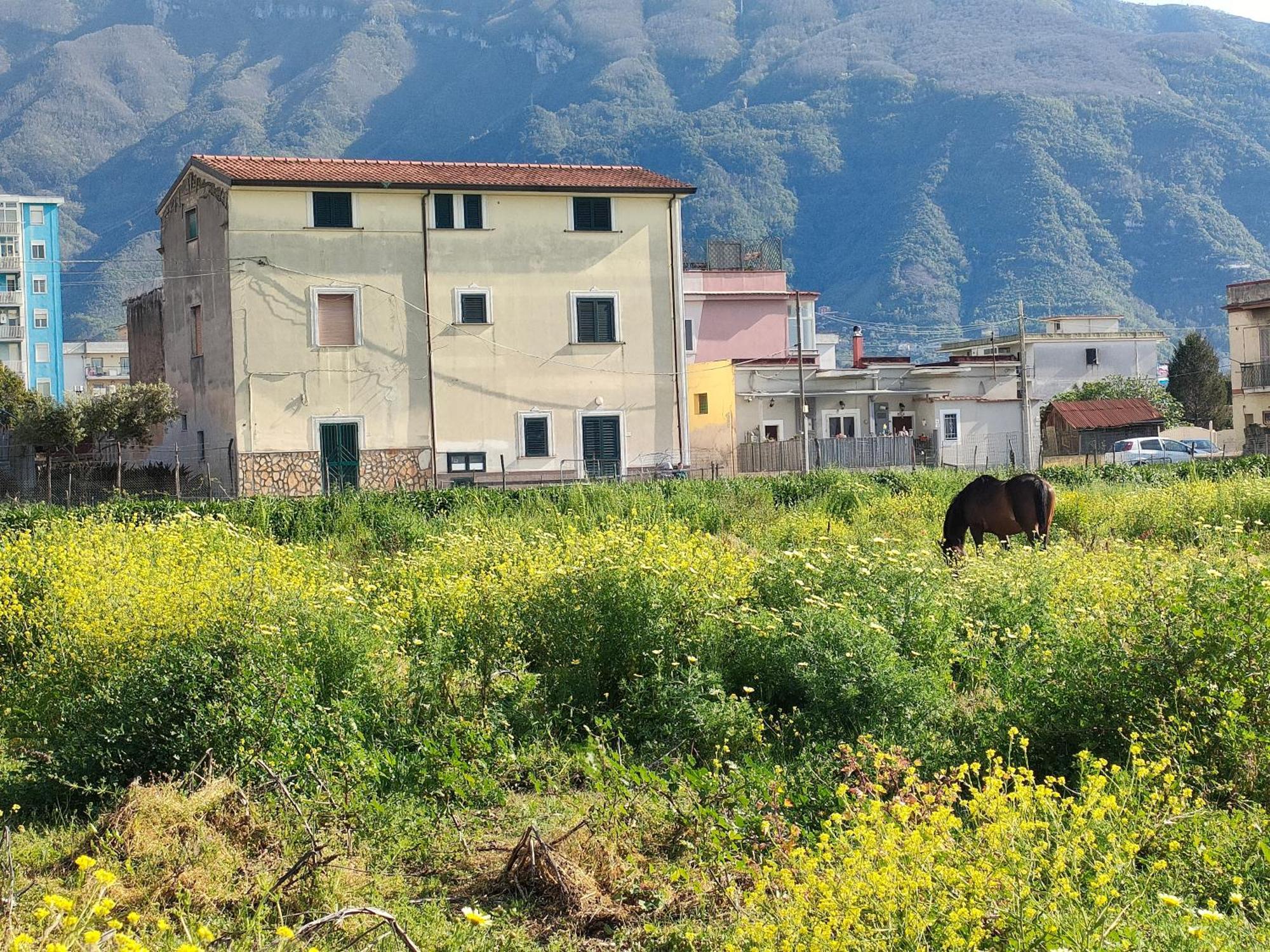 Lilla Housing Apartment Castellammare di Stabia Exterior photo